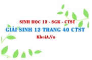 Giải Sinh 12 trang 40 Chân trời Sáng tạo